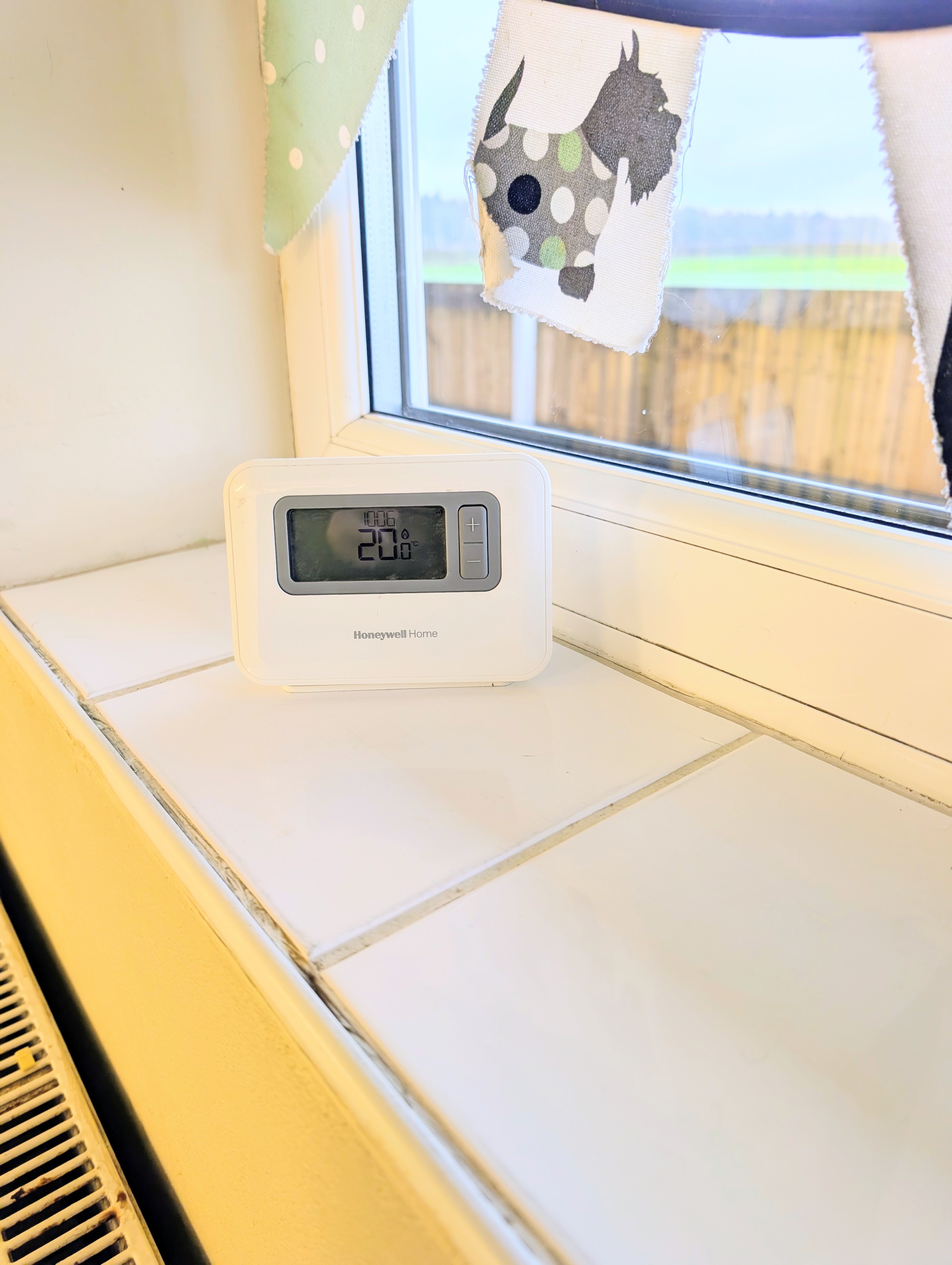 PXL 20260120 1113188112