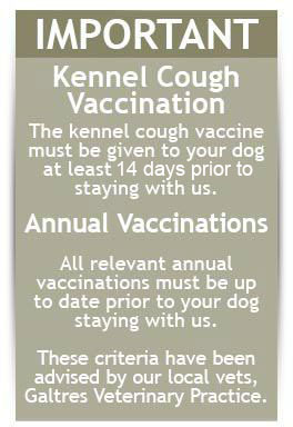Ensure all your pet vaccinations are in order