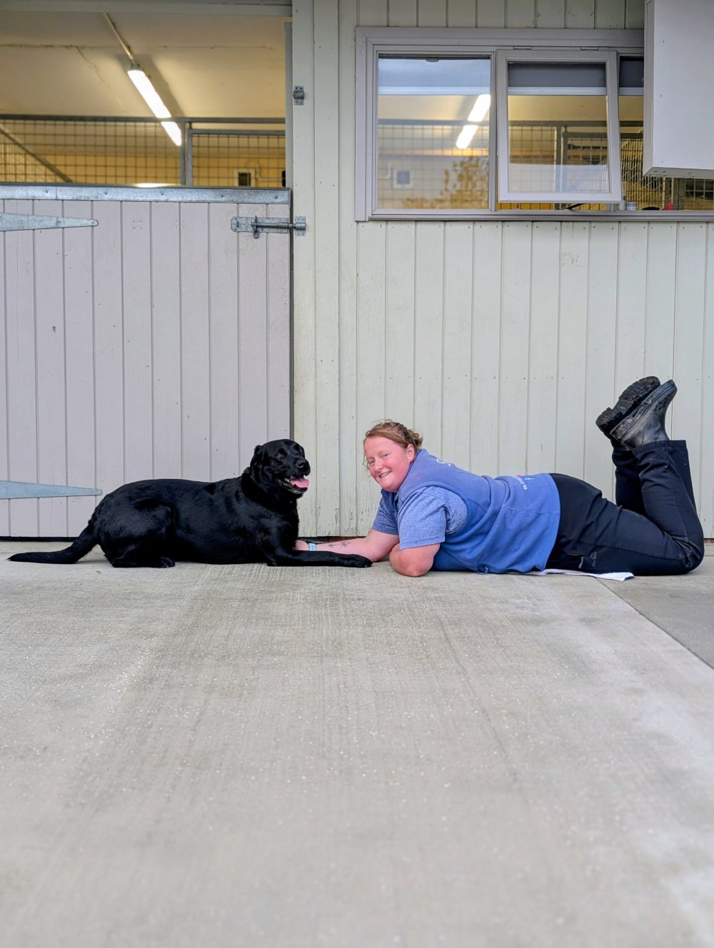 A place to chill with a doggy friend. Derrings Kennels